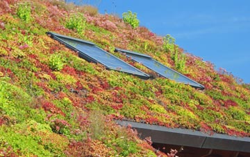 Burlton living roof systems
