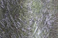 Burlton fibreglass roof work